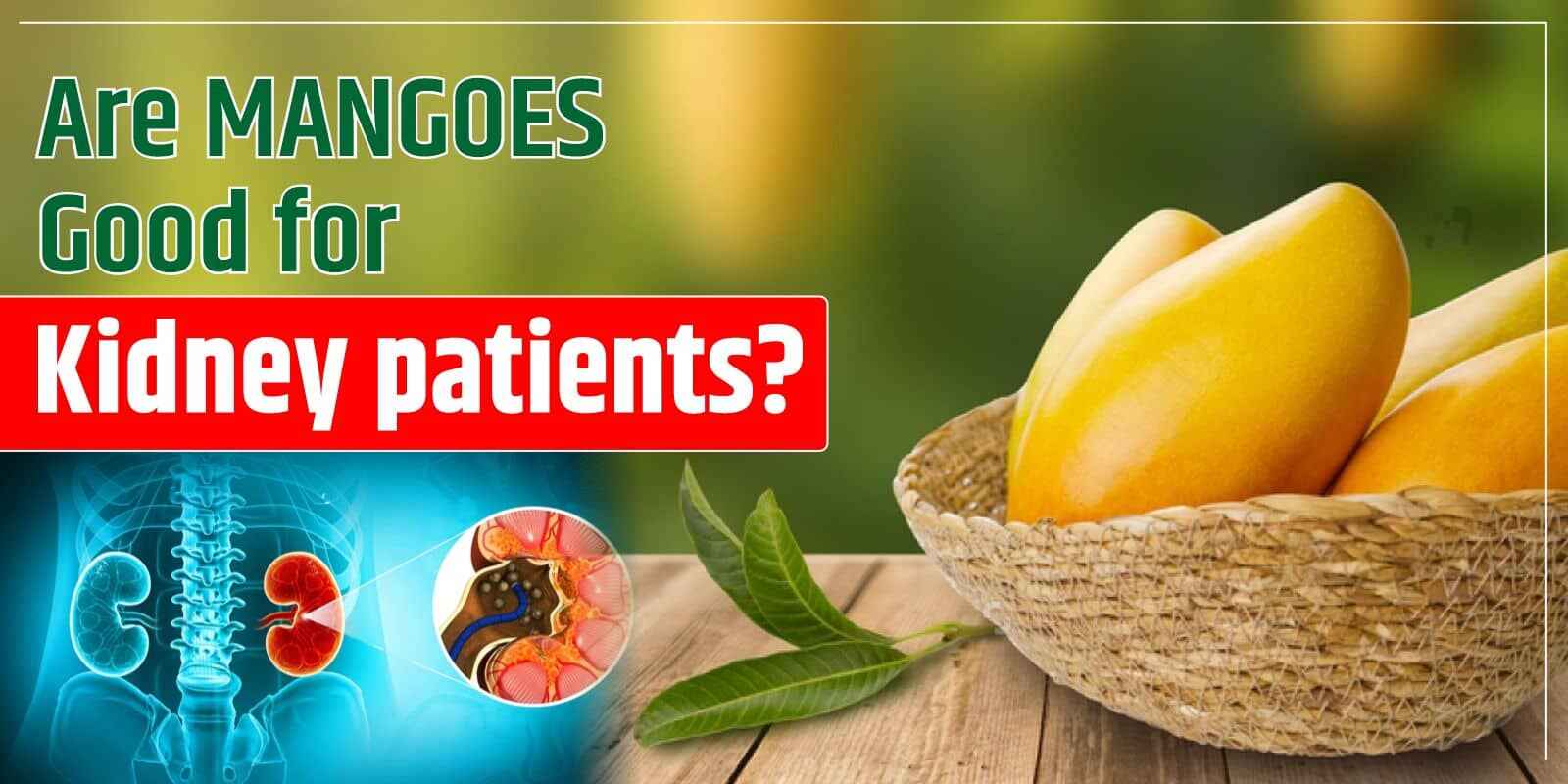 Are Mangoes Good for Kidney patients?